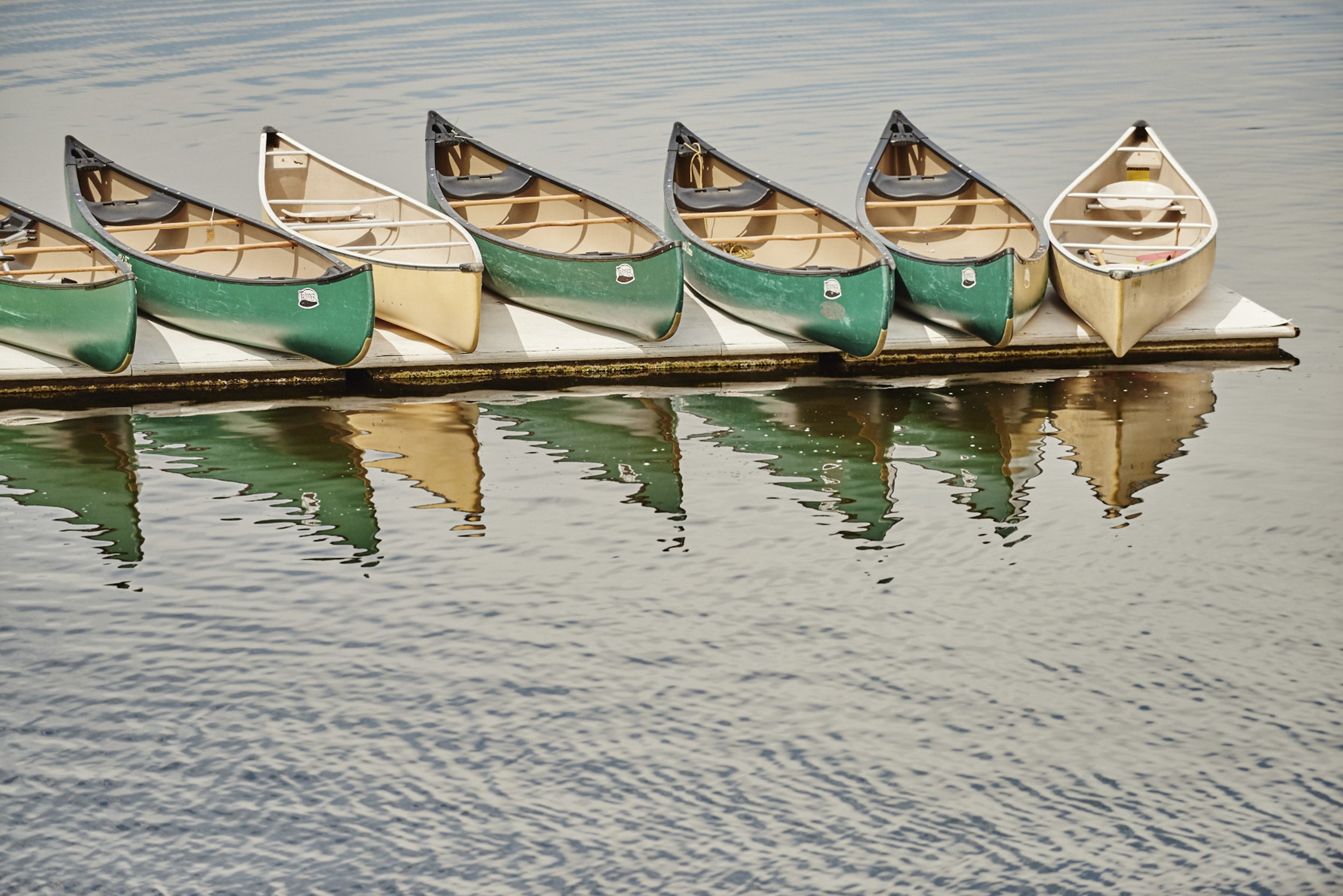 20160620_Port Moody - TrilliumD81_7853.jpg