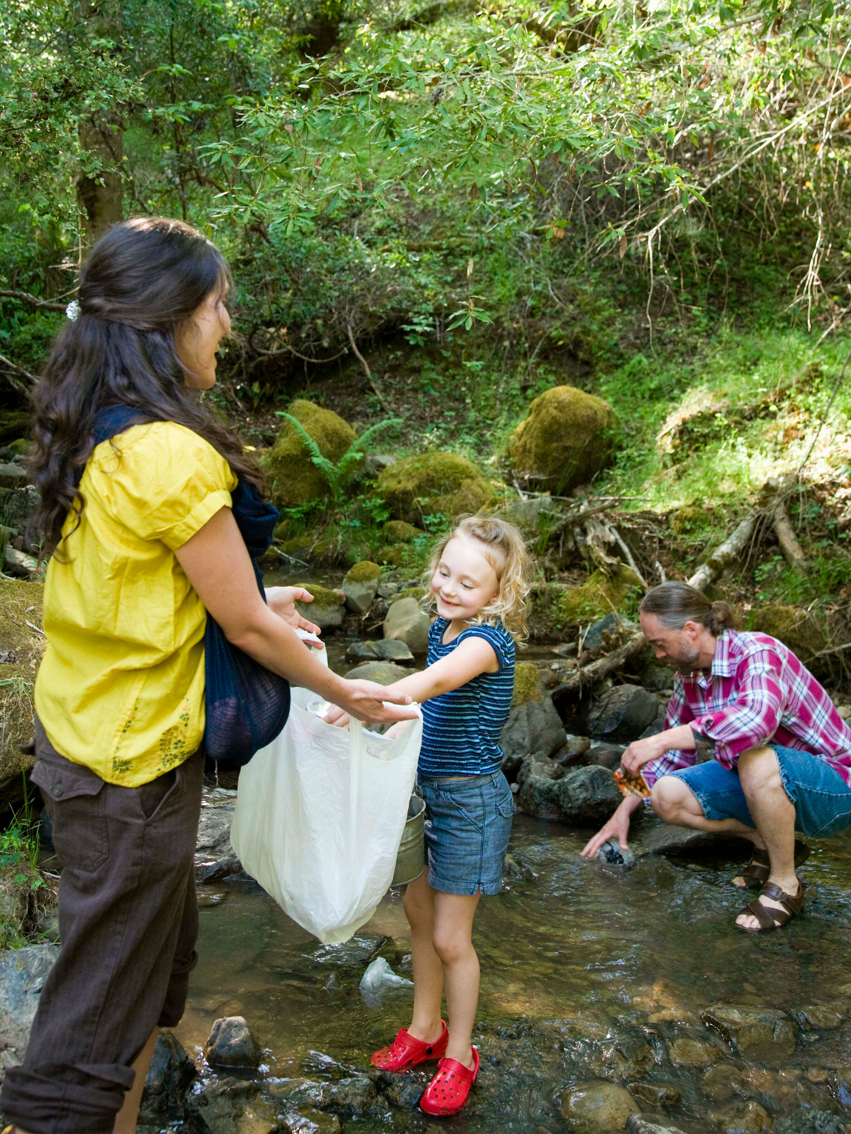 About Go Clean Get Green — Go Clean Get Green