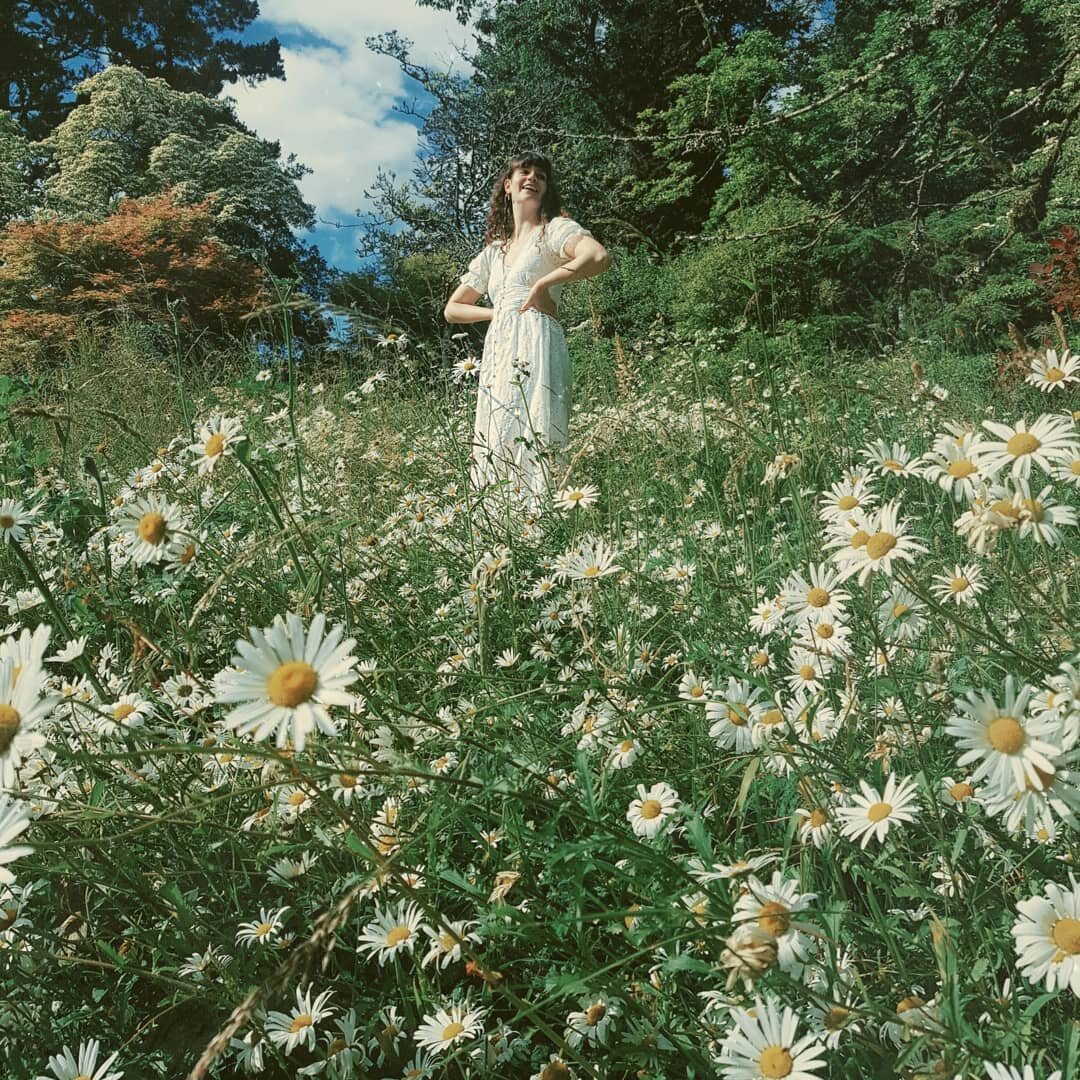 Looking forward to days in amongst the daisies after a beautifully busy weekend 🌼
