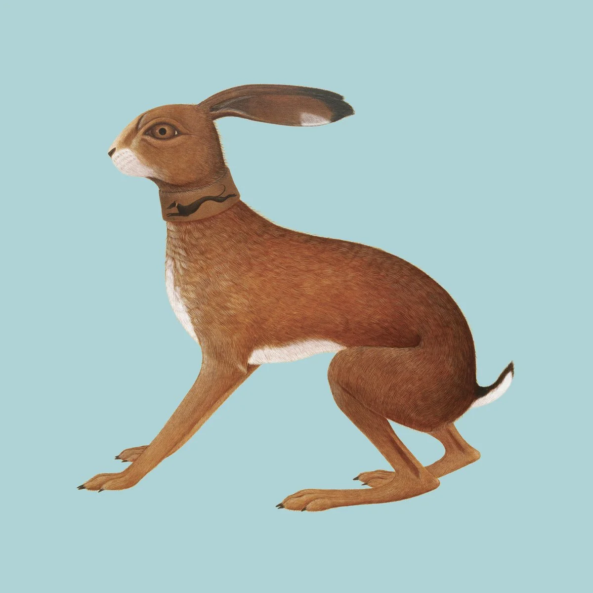 Vashti Bunyan 'Lookaftering' (2xLP)