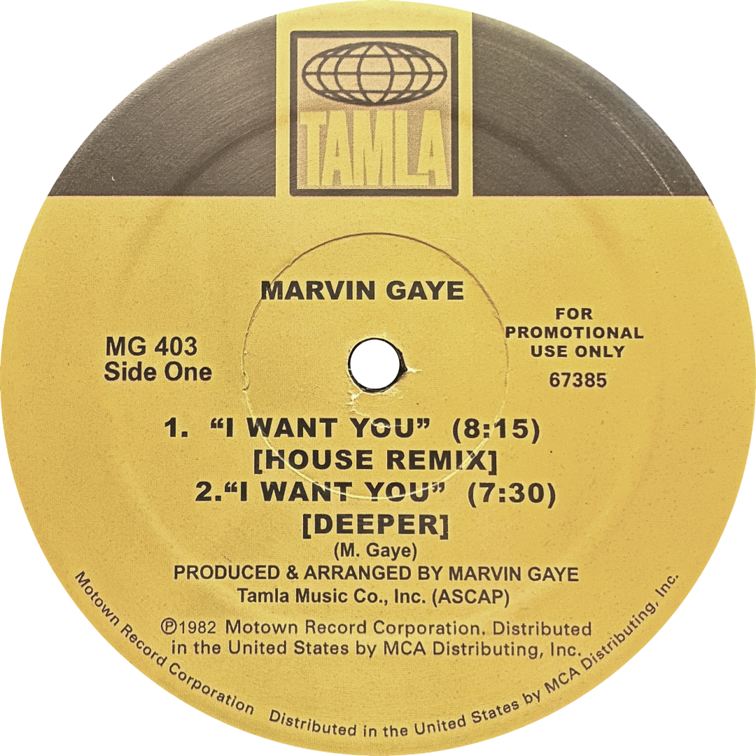 Marvin Gaye 'I Want You / Sexual Healing' (House Remixes)