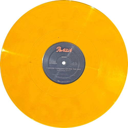 sadejoecorange-modified-removebg-preview.png