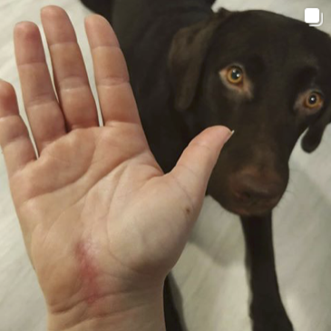 Screenshot 2020-01-27 at 10.42.51.png