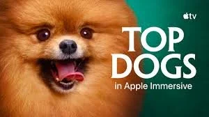 Top Dogs, Apple Vision Pro