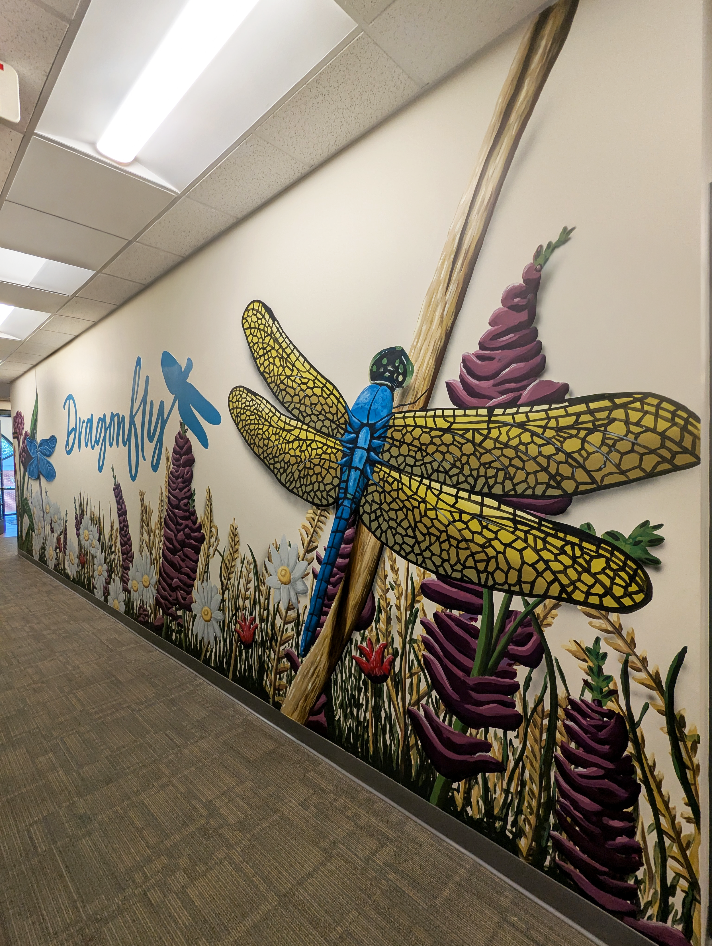 Dragonfly Counseling and Consulting