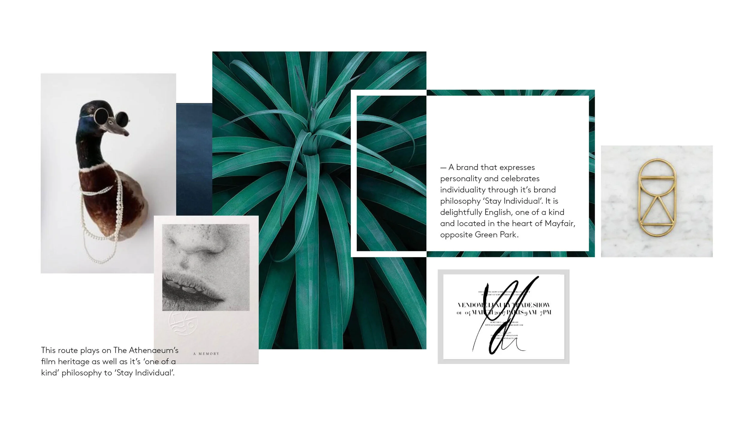 LBD_Portfolio_Athenaeum_Route 1.jpg