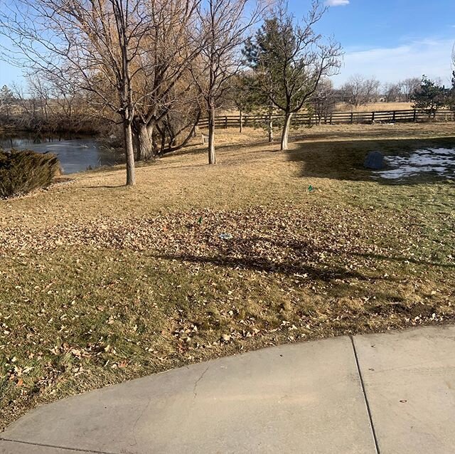 Sewer line repair in North Boulder County. This is for a real estate closing. #coloradorealestate #bouldercountyrealestate requires a septic inspection and a real air agreement of any deficiencies in order to close the deal and effectively transfer t
