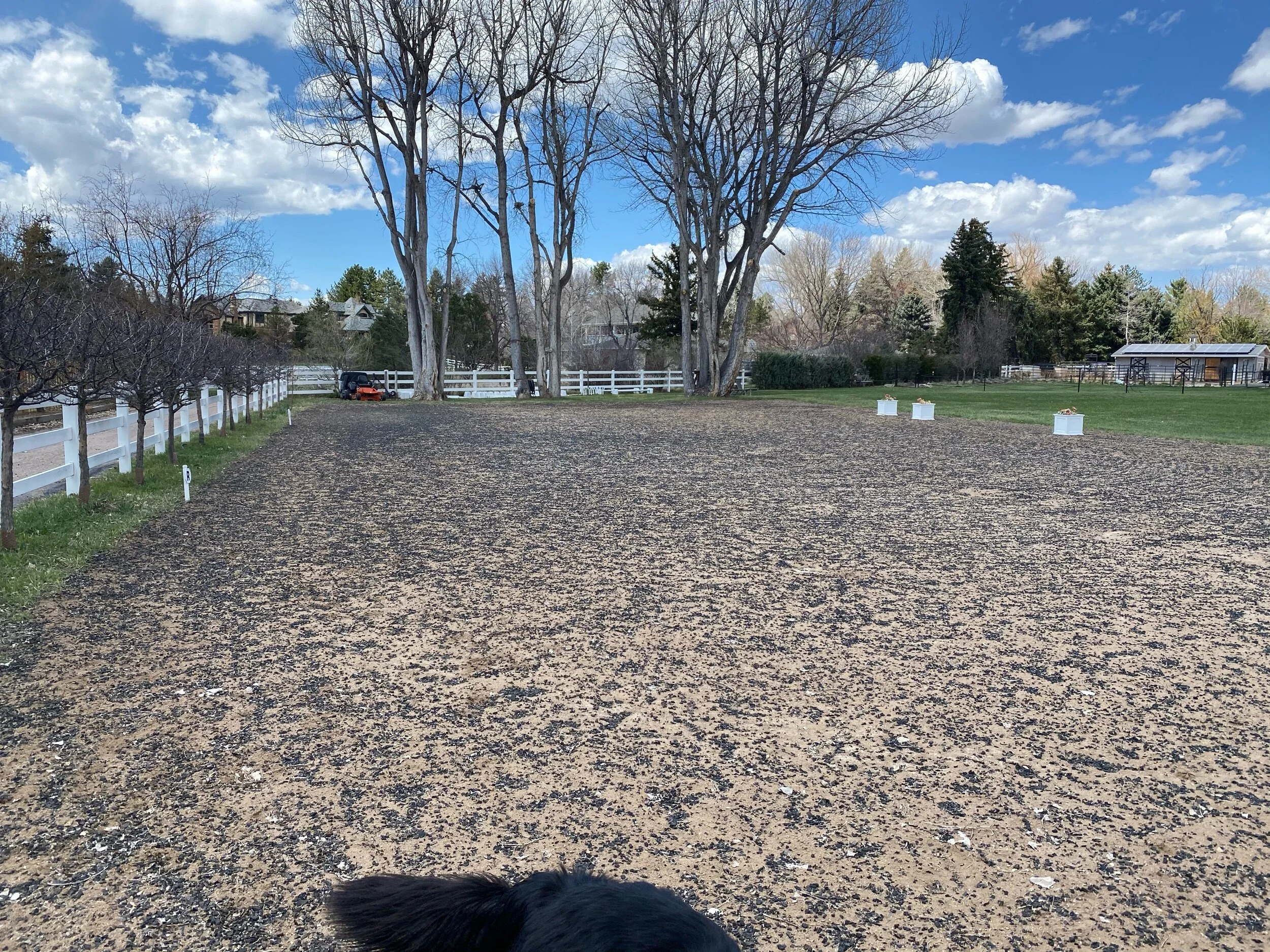Evaluate Horse arena for fine tuned footing installation and grading