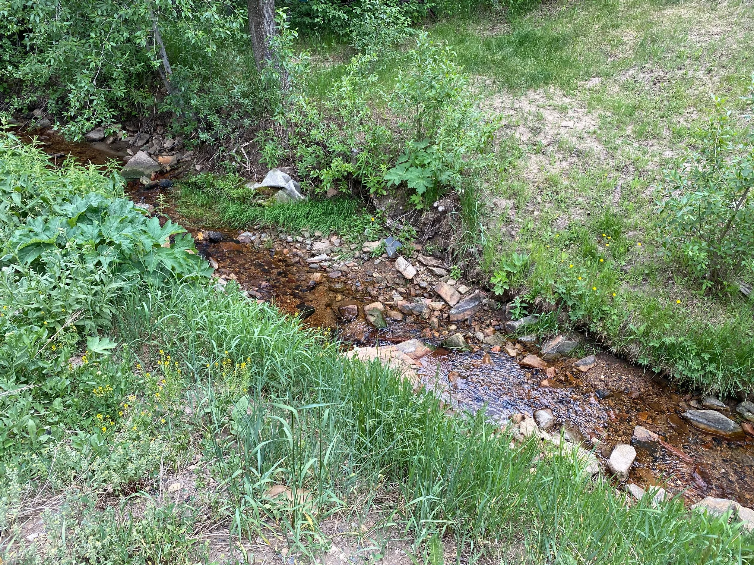 Assessing a difficult septic system installation in Jefferson County, CO