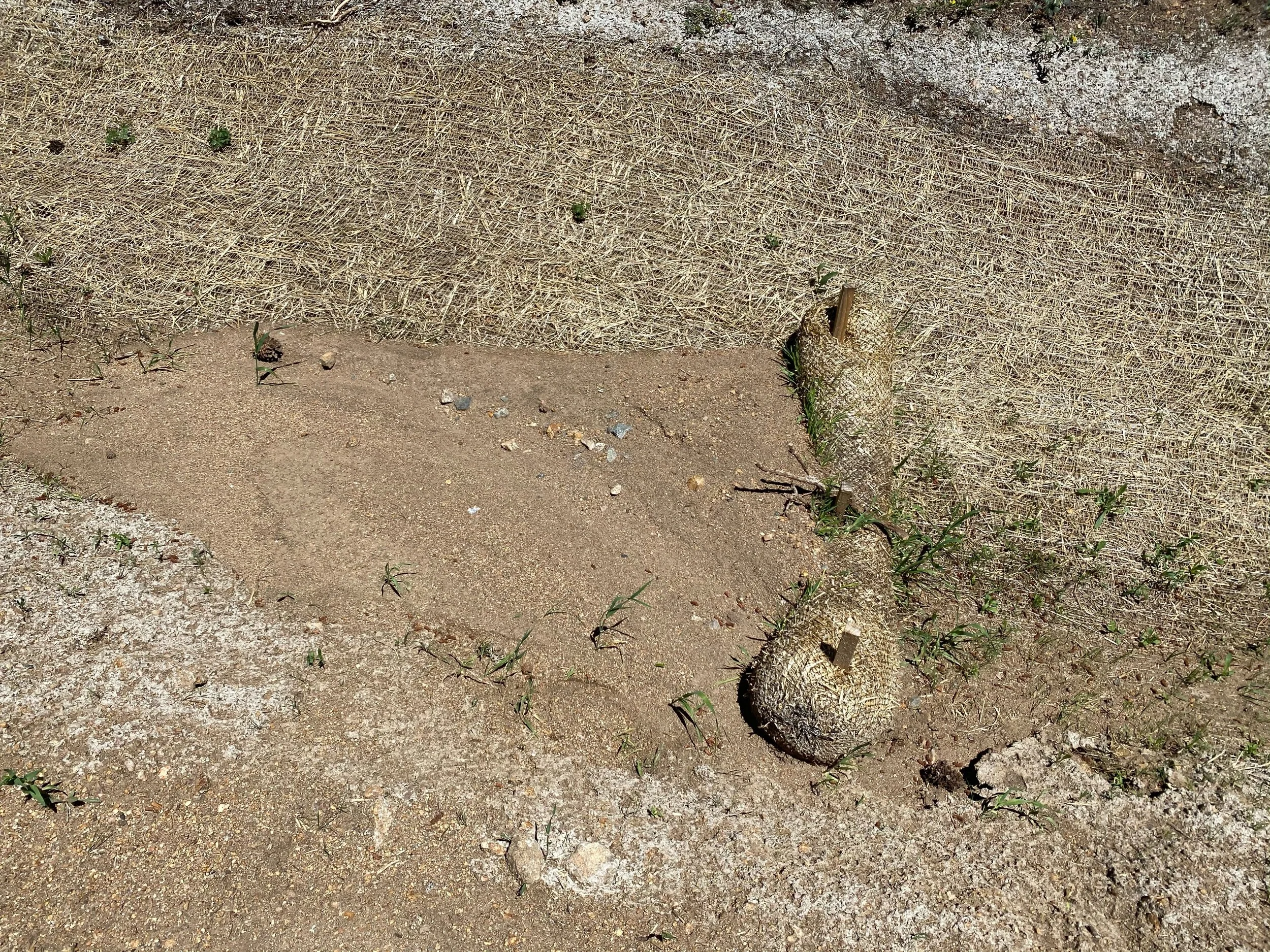 Driveway Drainage Assessment and Solution Proposal