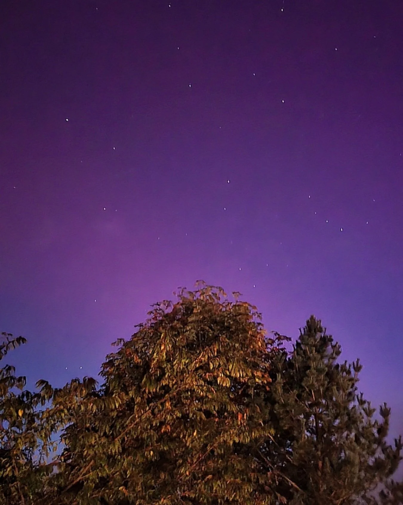 THIS IS NOT AI

Imagine sitting beneath a sky so clear, so endless, it feels like the stars are close enough to touch. ✨

At The Wallace Falls Lodge, the night becomes more than just an ending to your day - it&rsquo;s an experience in itself.

Whethe