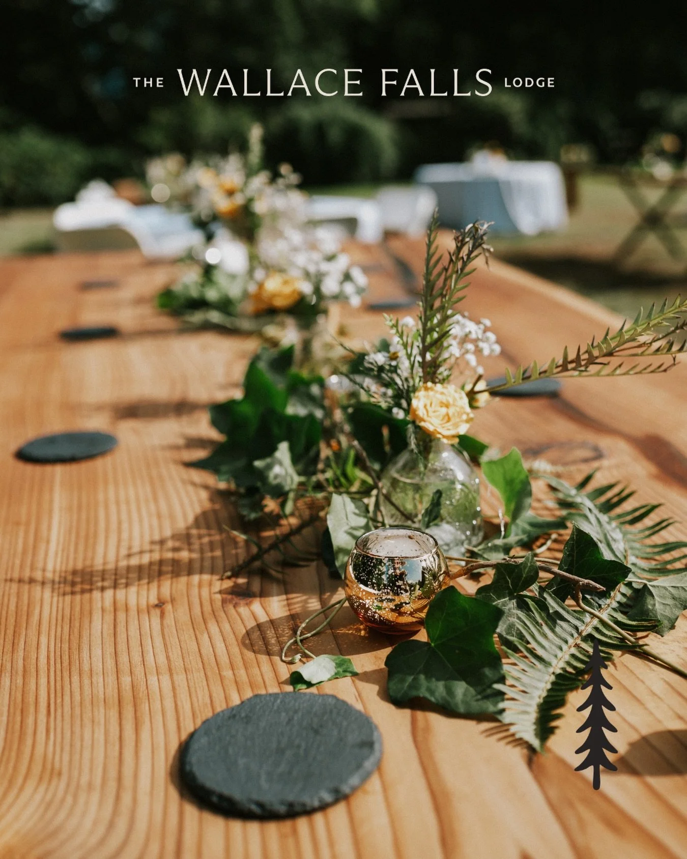 Now booking 2027 weddings and select remaining dates for 2026 🤍

If you&rsquo;re venue shopping for your big day, you need to know what our brides and grooms rave about!

They appreciate the ease, the comfort, and the way everyone can stay together 