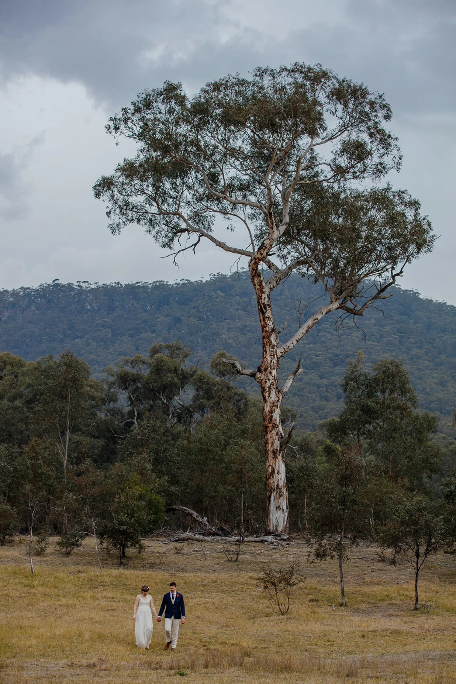 67_Collits Inn E & B Blue Mountains Wedding0100.jpg
