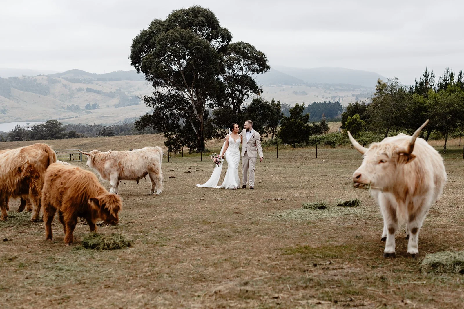 Shannon + Joel - Seclusions Wedding