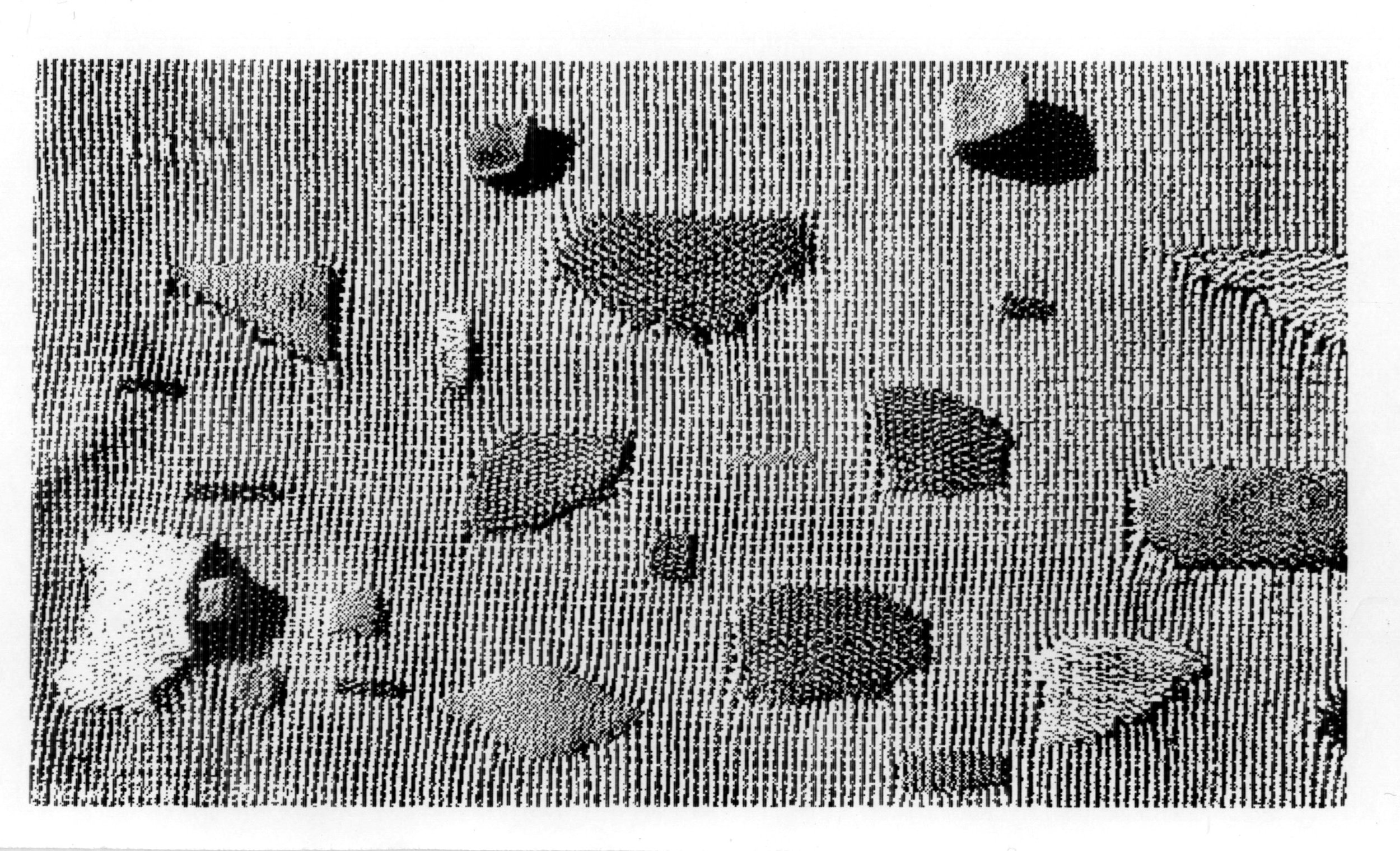 rock tapestry on baby camera09.JPEG