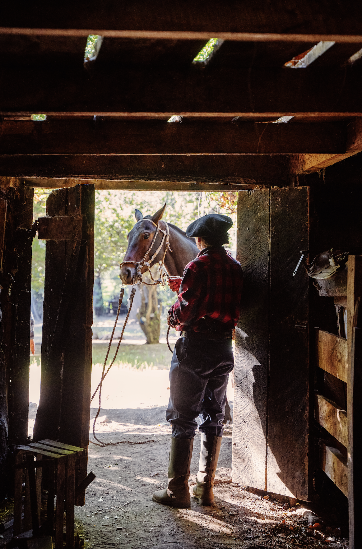 Screen Shot 2023-11-06 at 3.19.51 PM.png