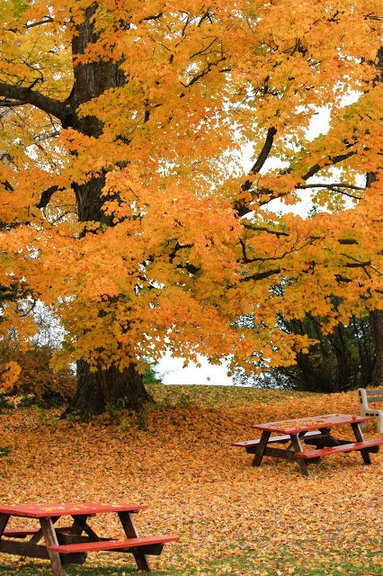 Abundant Autumn Living