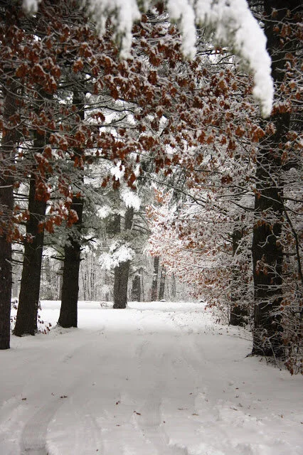 End of November