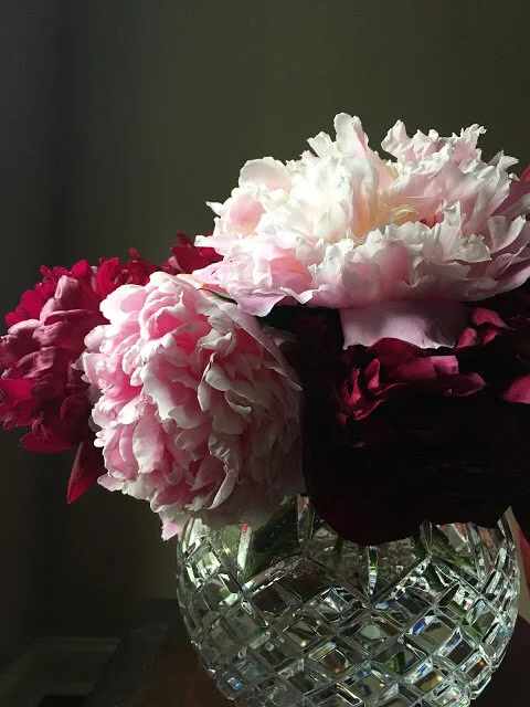 Peonies