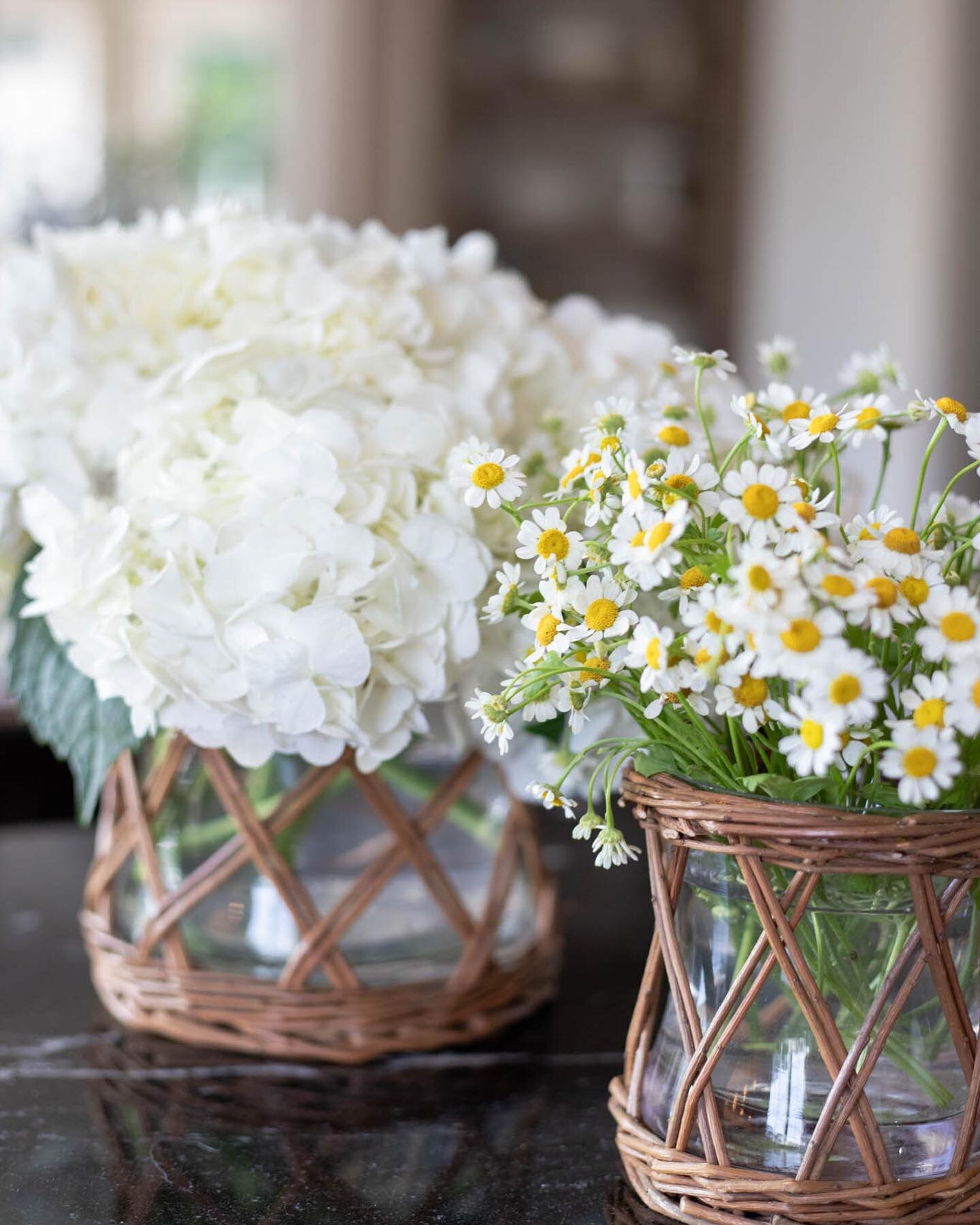 It was a day of normal things: laundry, sweeping, vacuuming, errands, flowers. This is my normal weekly flower pick up at Trader Joe&rsquo;s this summer&hellip;two bunches of white hydrangeas and one bunch of chamomile. I&rsquo;ve had pretty good luc