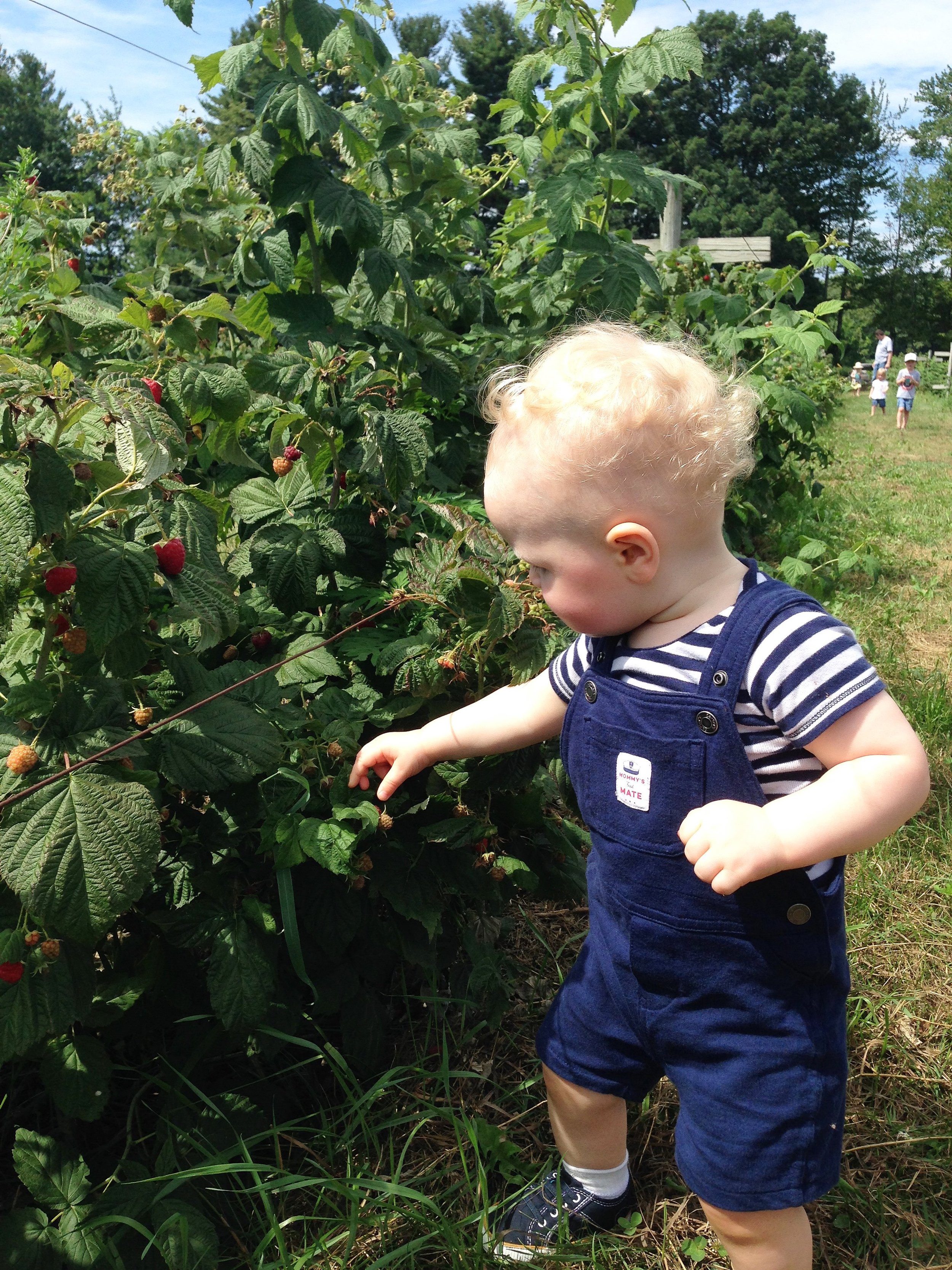 Making Gardening Memories with Kids