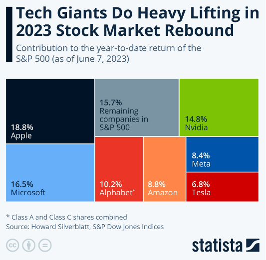 S&P 500 Index Market CapWeighted vs EqualWeighted — Patina Wealth