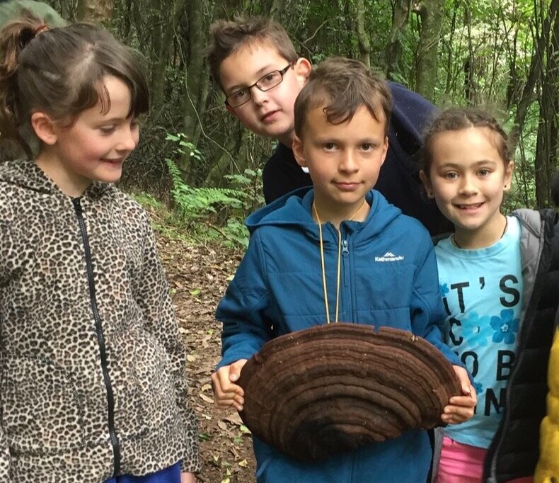 Special Activities and Requests