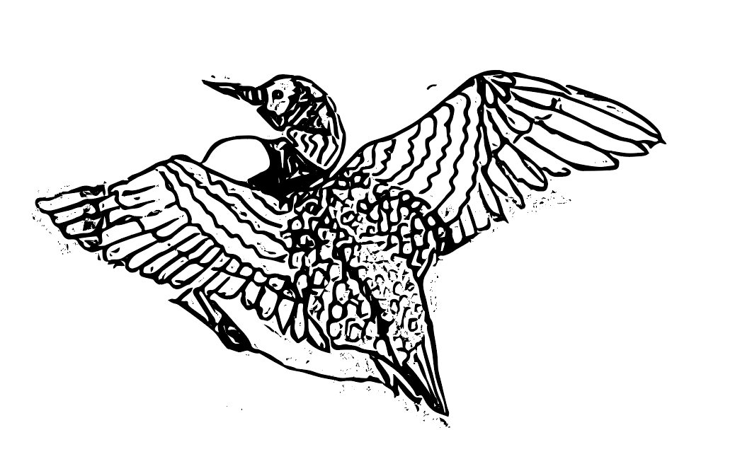 Screen Shot 2020-01-11 at 1.06.34 PM.png