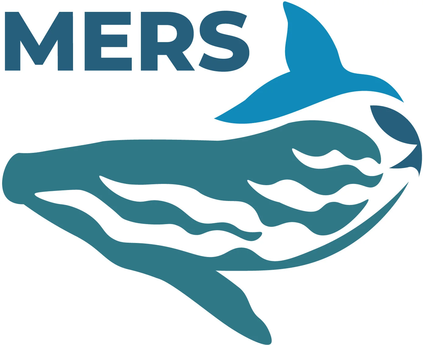 MERS_MERS_Full Colour_RBG.jpg