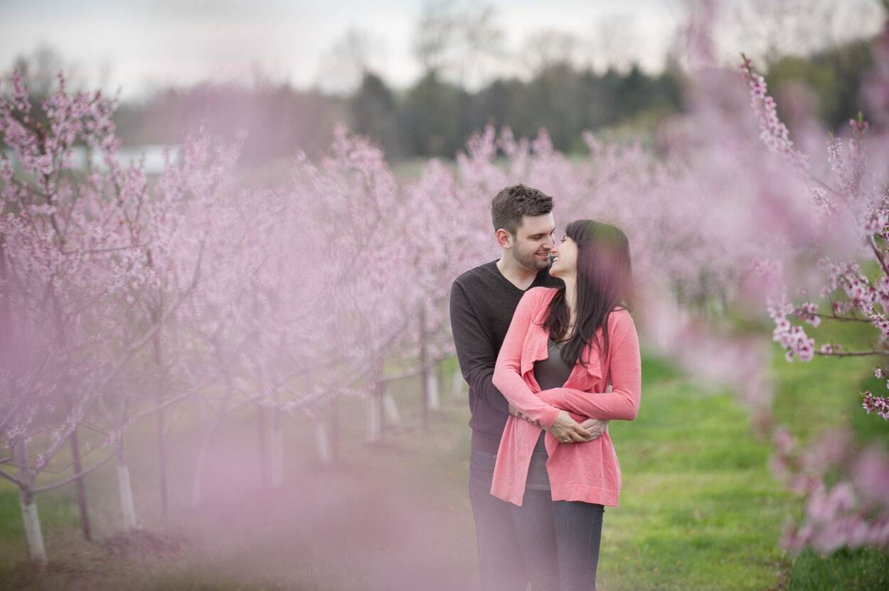 love-always-photography-niagara-gta-niagara-spring-blossom-mini-sessions-002.jpg