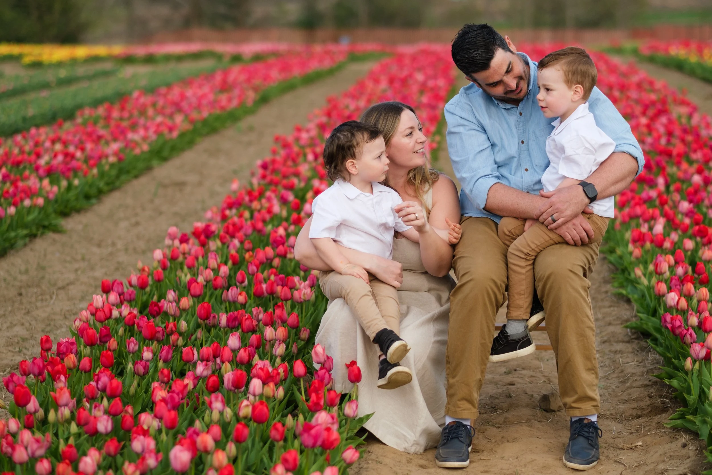 2025-04-30- Tulip Field Minis- Lyndsey-0012.jpg
