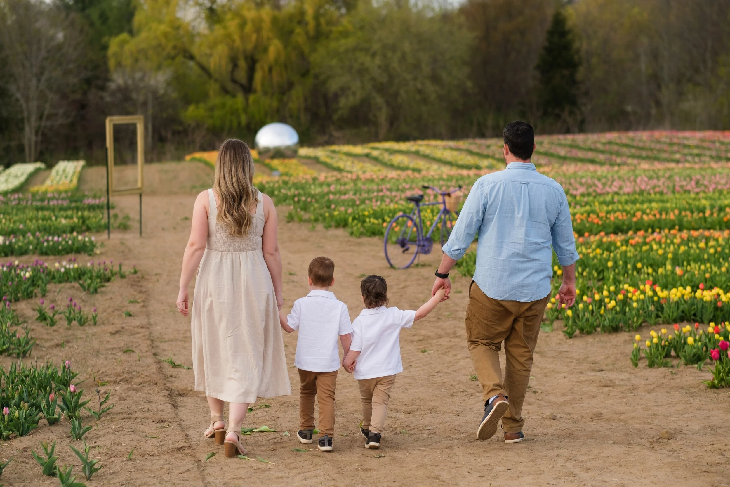 2025-04-30- Tulip Field Minis- Lyndsey-0019.jpg
