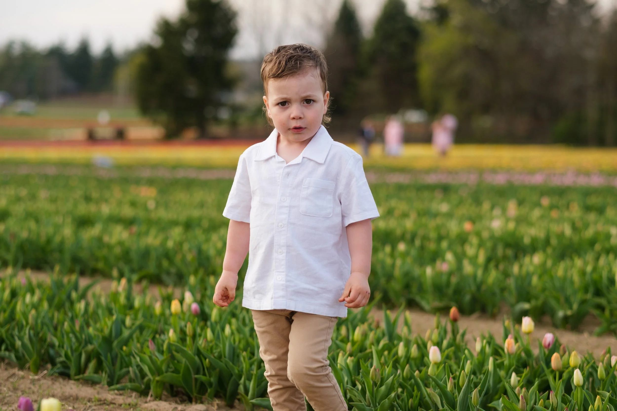 2025-04-30- Tulip Field Minis- Lyndsey-0022.jpg