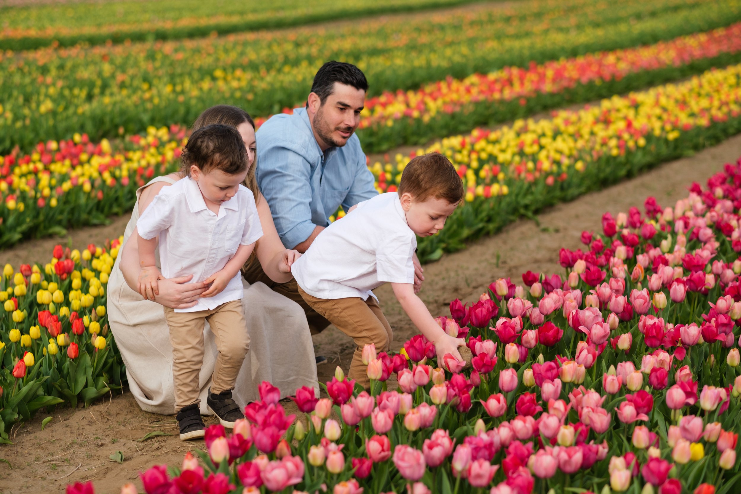 2025-04-30- Tulip Field Minis- Lyndsey-0027.jpg