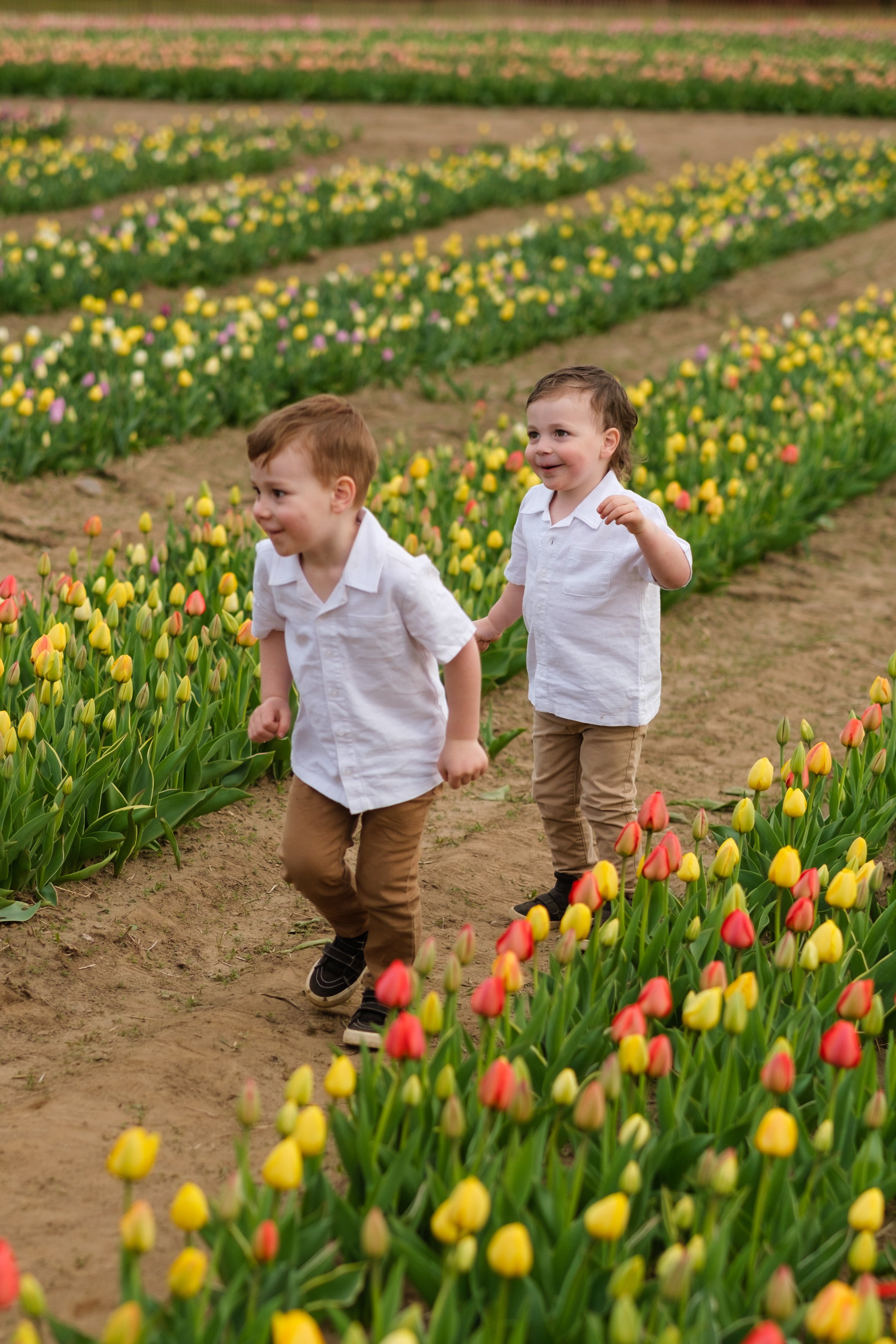 2025-04-30- Tulip Field Minis- Lyndsey-0047.jpg