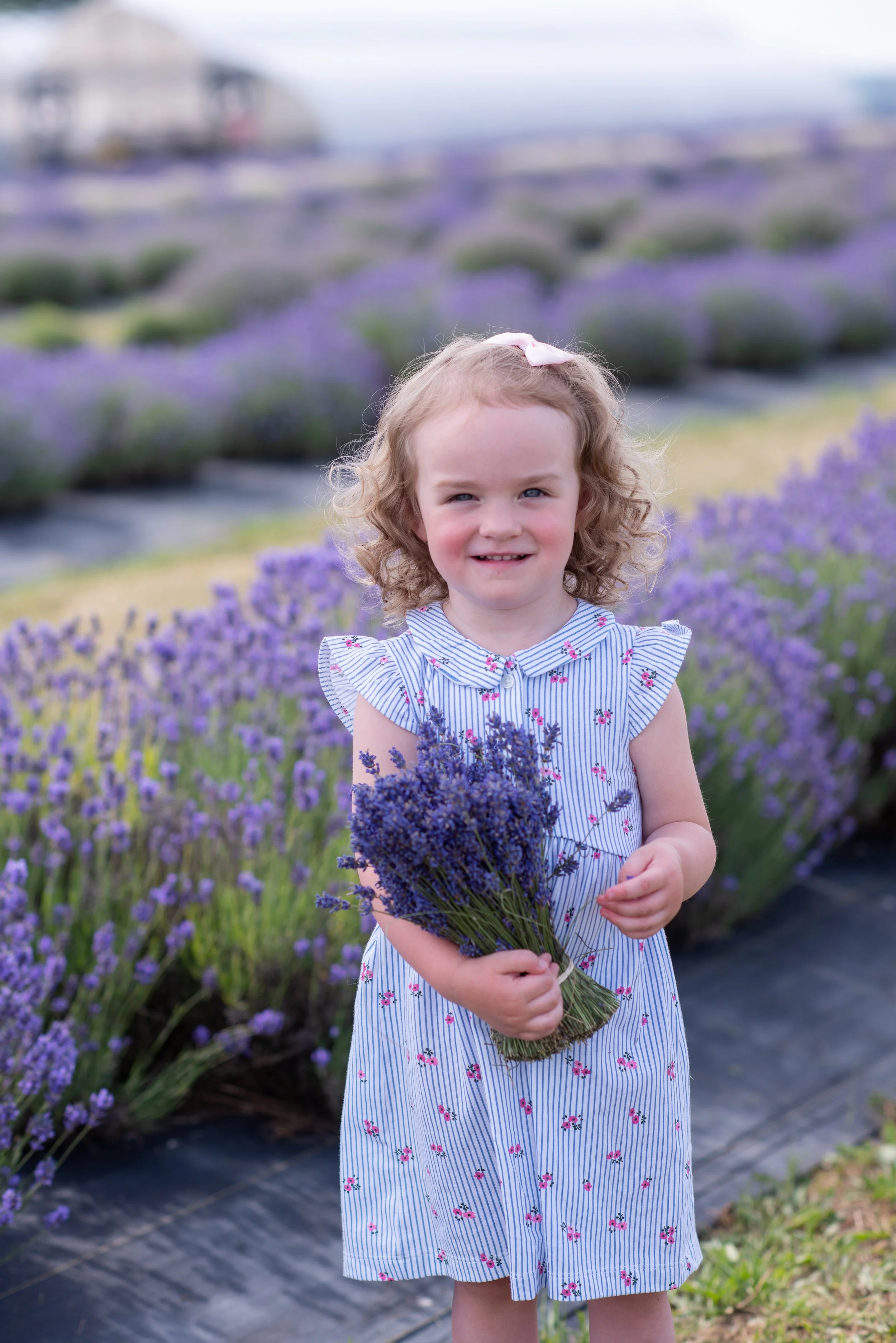 2020-07-05-Neob Lavender- Mini Session-003.jpg