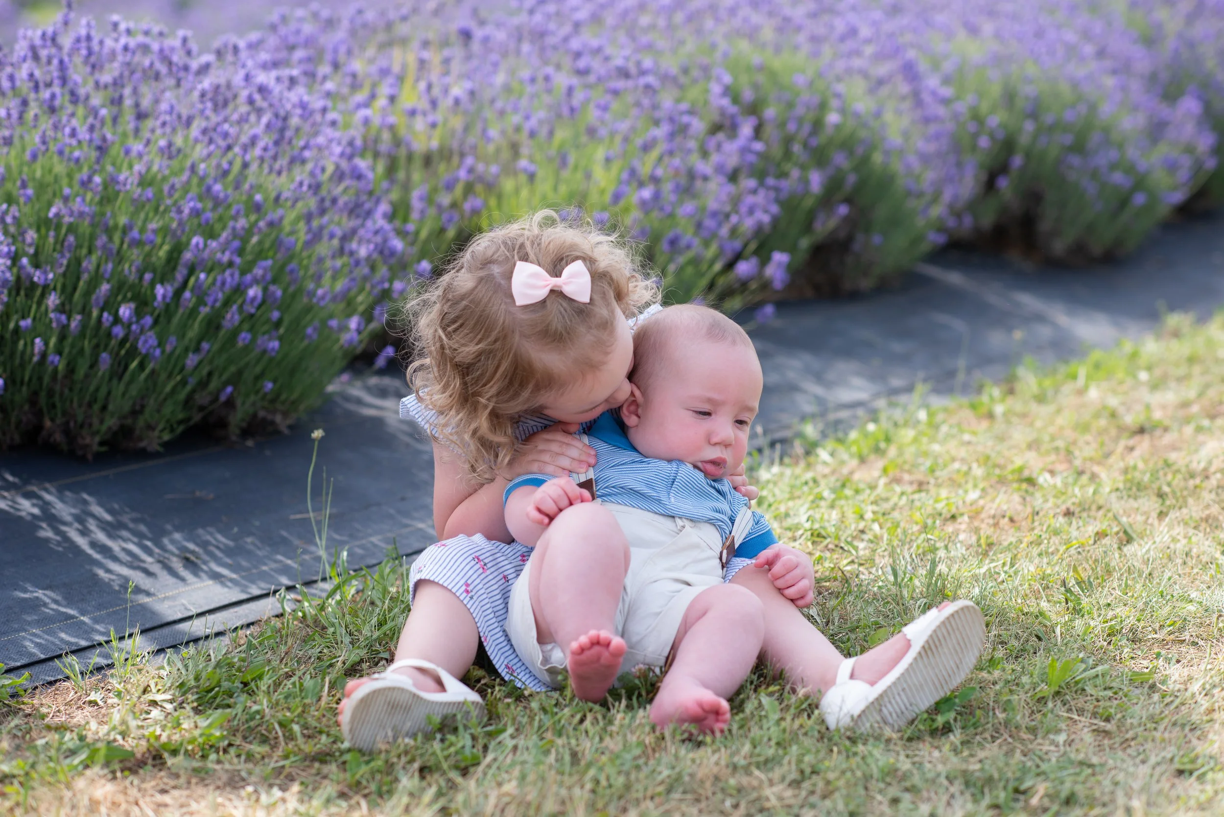 2020-07-05-Neob Lavender- Mini Session-008.jpg