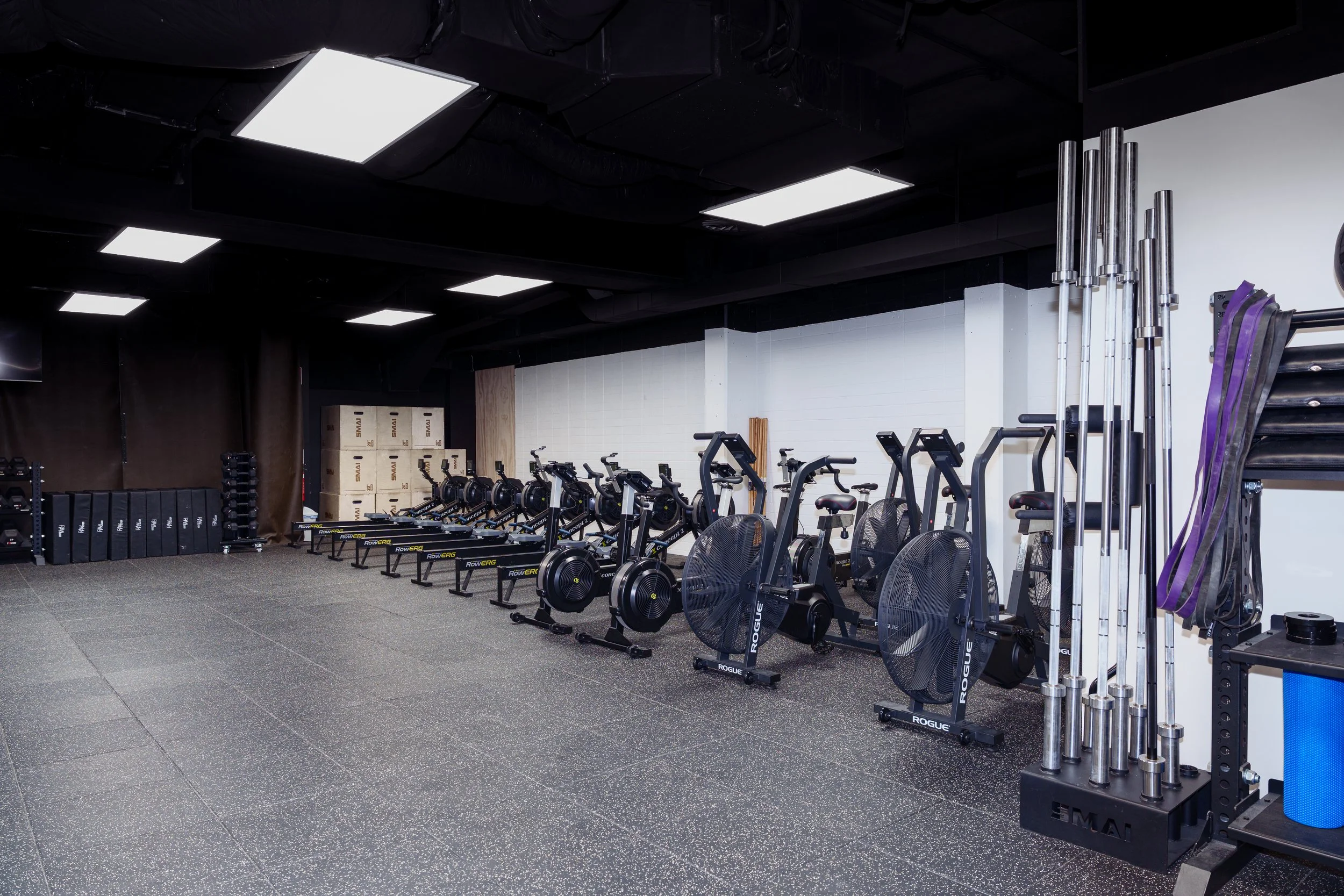 Copy of A7406624.jpg