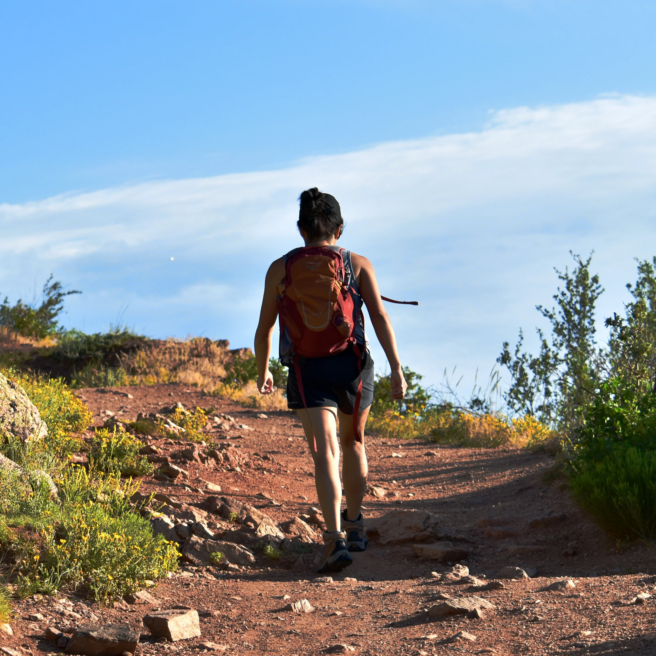 Family Tradition - An Interview