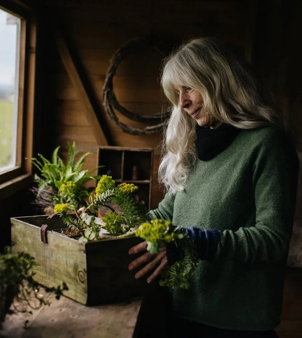 A woman with gray hair in a green sweater planting or caring for green leafy plants in a wooden box inside a wooden shed with a window.