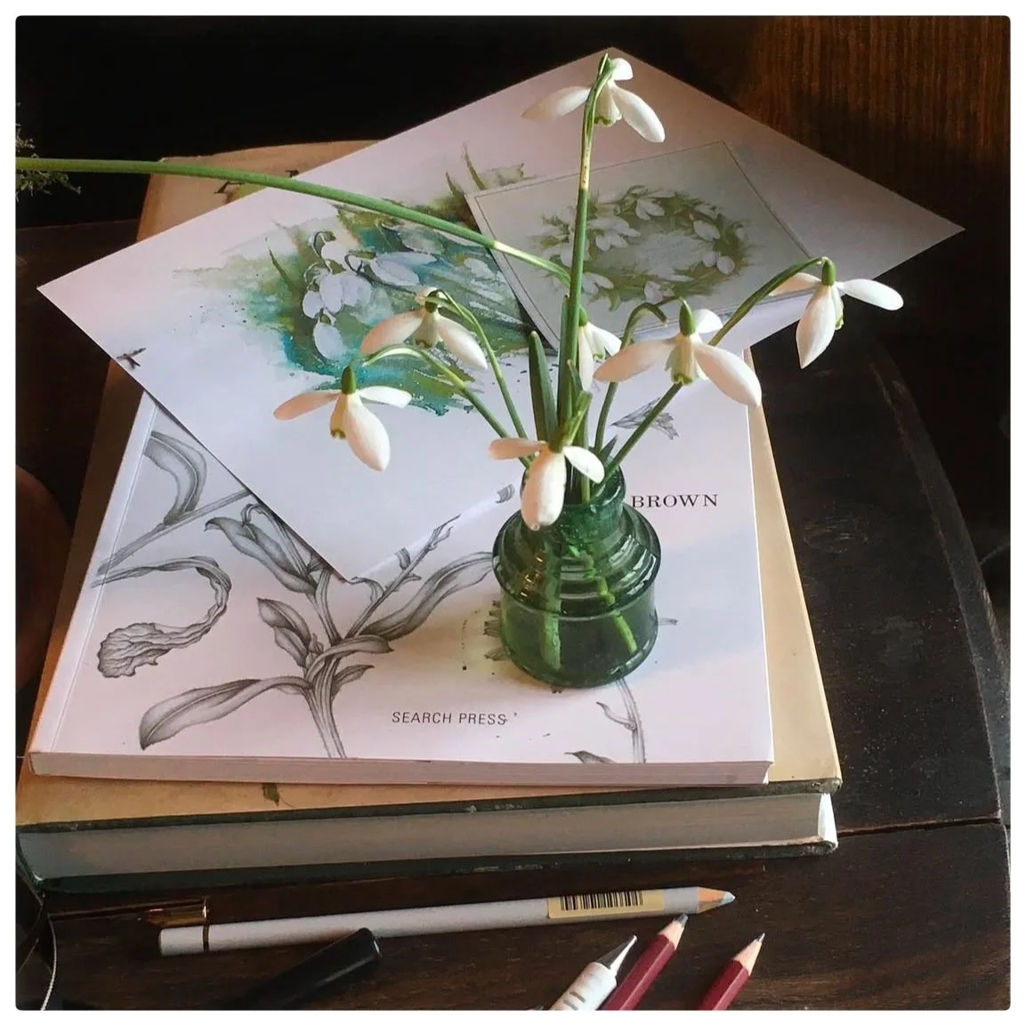 Snowdrop Art Day with Jackie Mills the Botanical Sketch Club