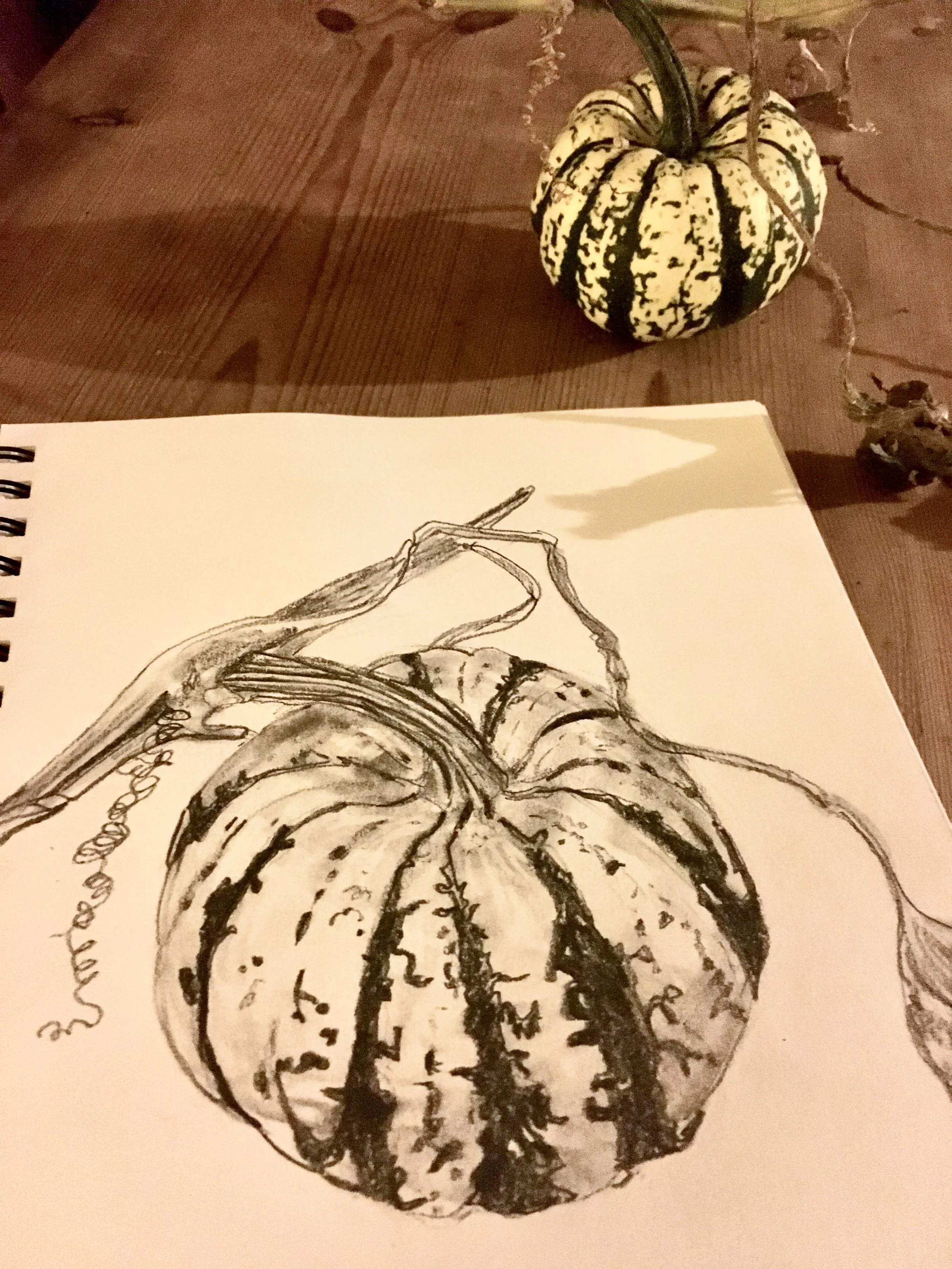 A sketch of a pumpkin with a vine and stem on a piece of paper, placed on a wooden table, with a real pumpkin in the background.