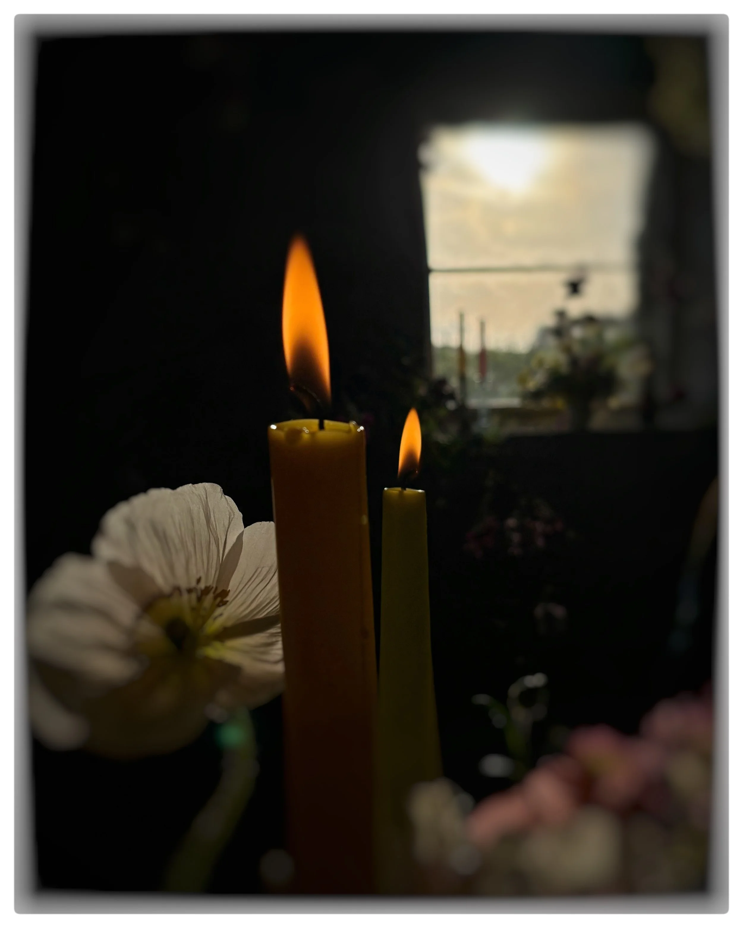 Two lit candles, one yellow and one light green, with a blooming white flower and pink flowers in the foreground. A window with a view of the outdoors is in the background, with soft natural light illuminating the scene.