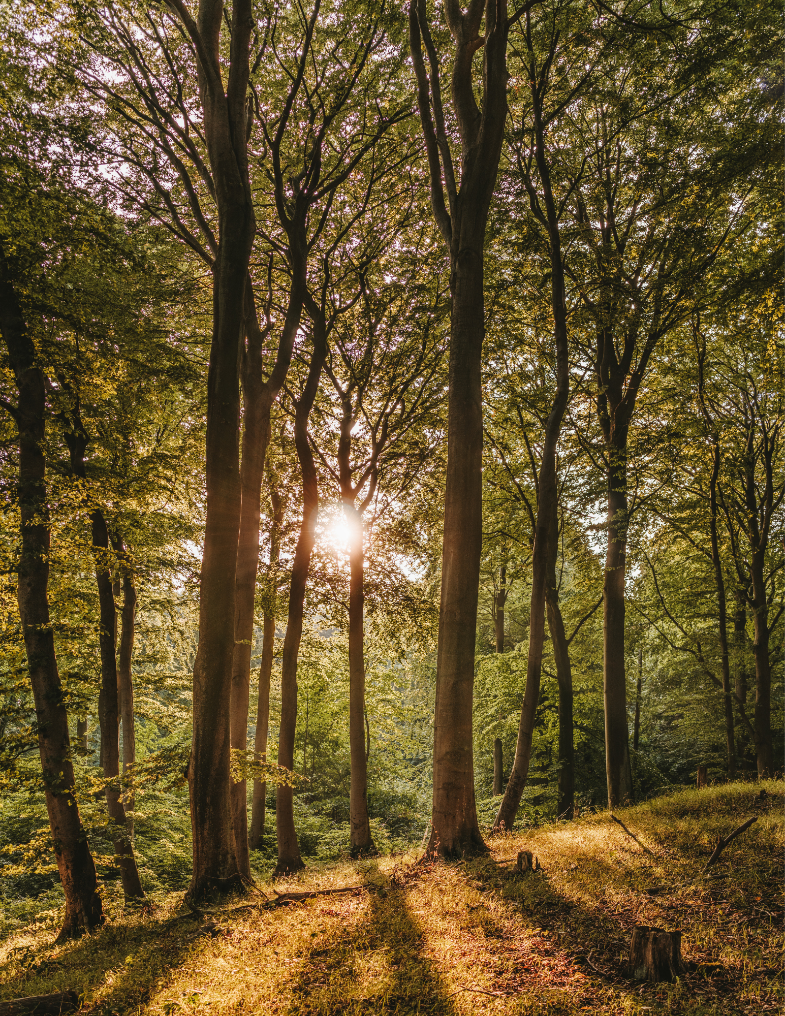 2022 into the wild day retreat