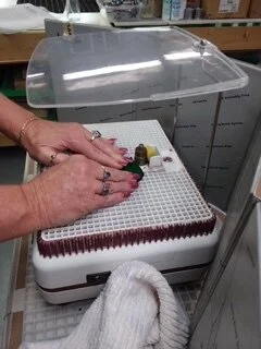 Beginning Class 20191010_205228.JPG