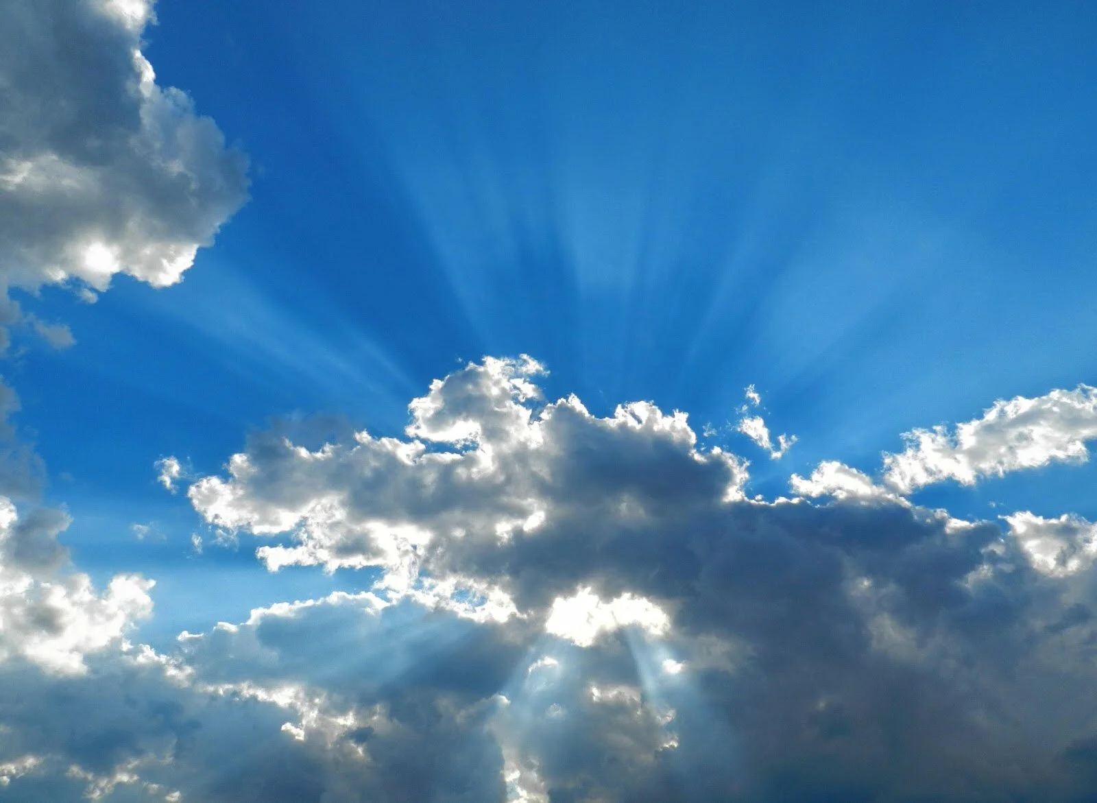 Case File 001 - Meeting a New Friend