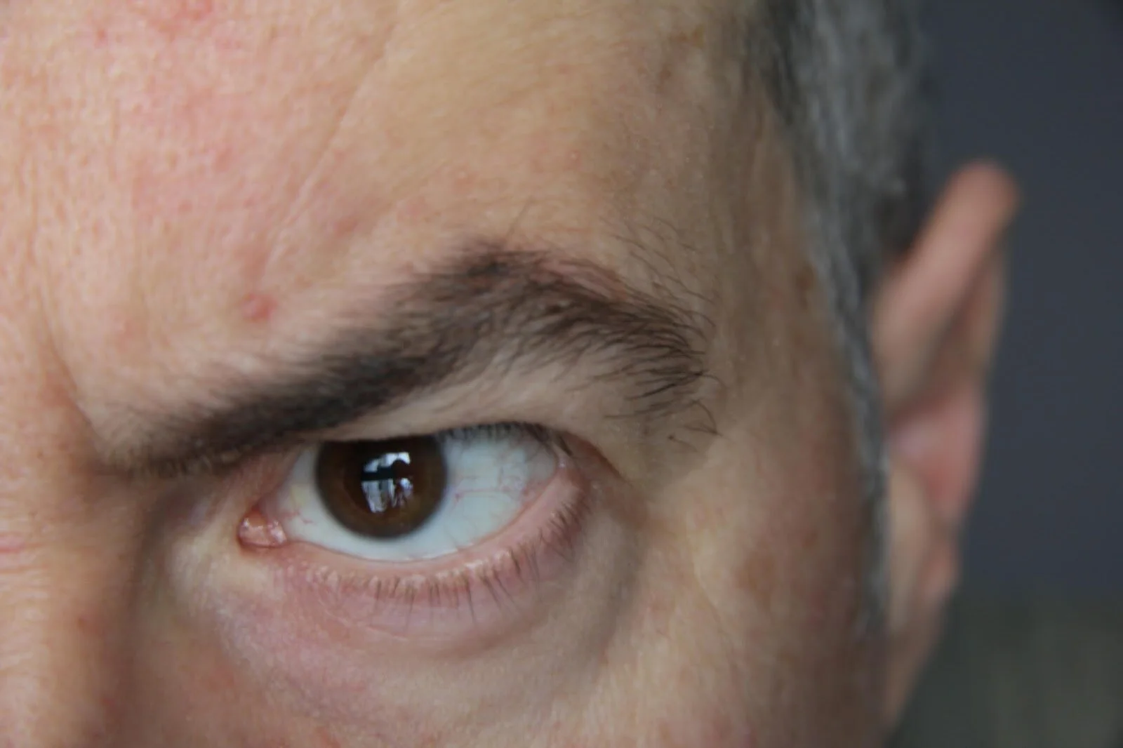 Case File 008 - Anger vs Forgiveness