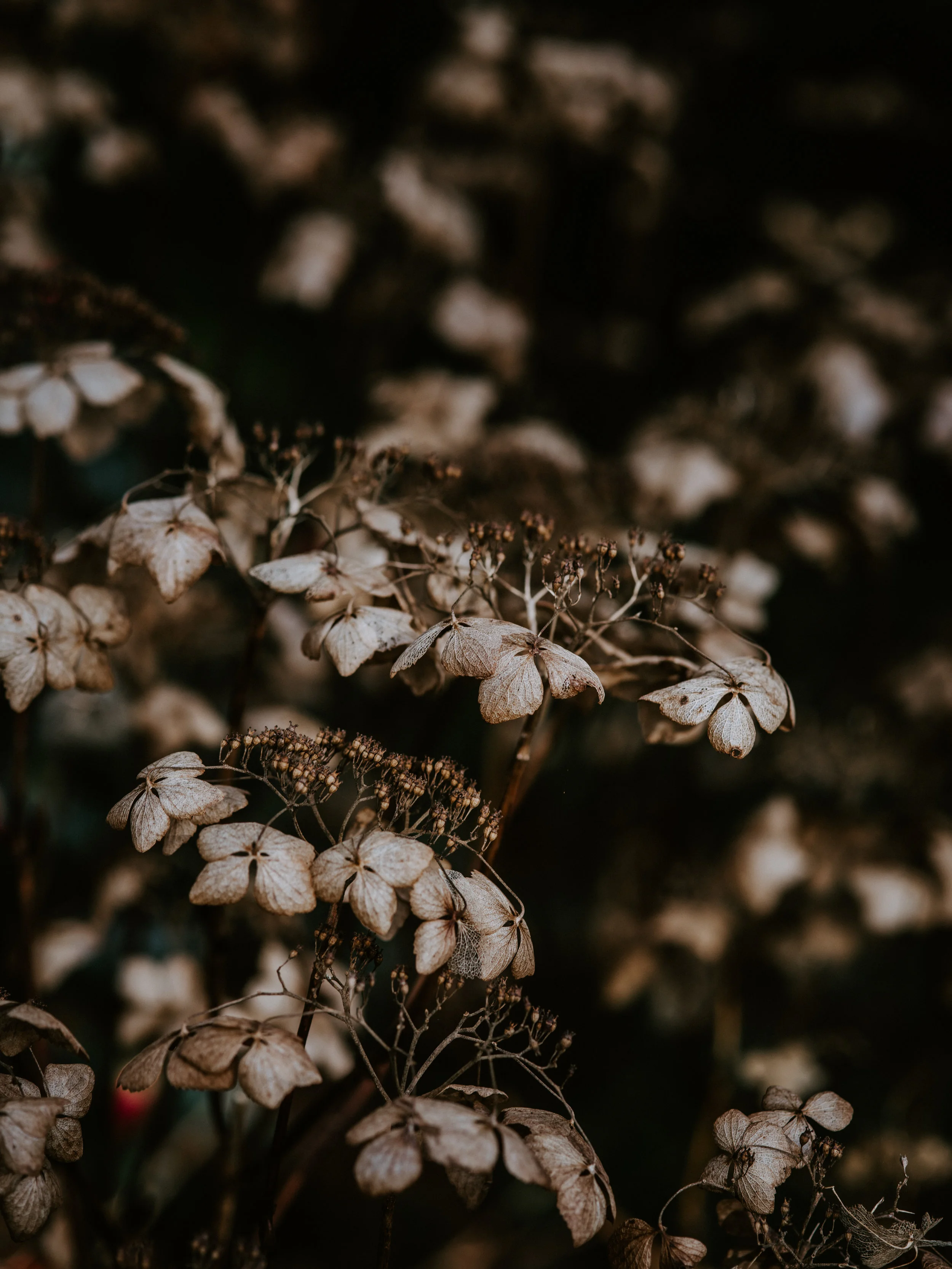 Case File 019 - Disruptive Energies