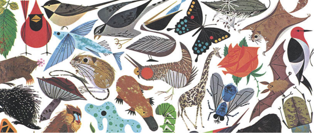 Zoology (BIOL 220)