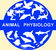 Animal Physiology (BIOL 320)